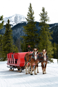 Winter Sleigh Rides Breckenridge Colorado