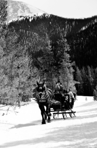 Romantic Sleigh Rides