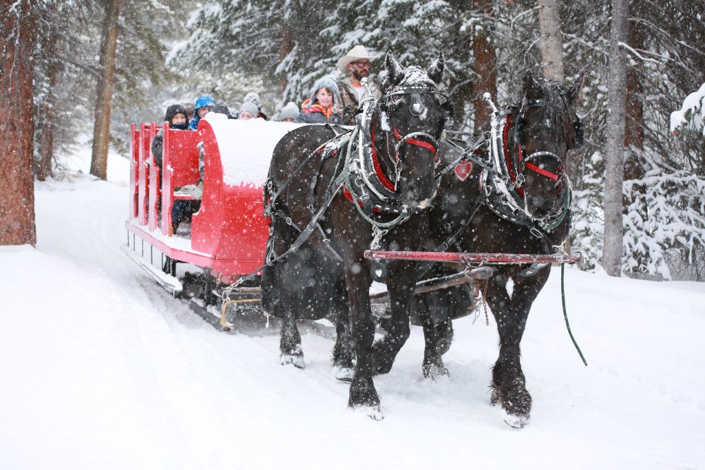 Sleigh Rides and Dinner Theater in Breckenridge Colorado